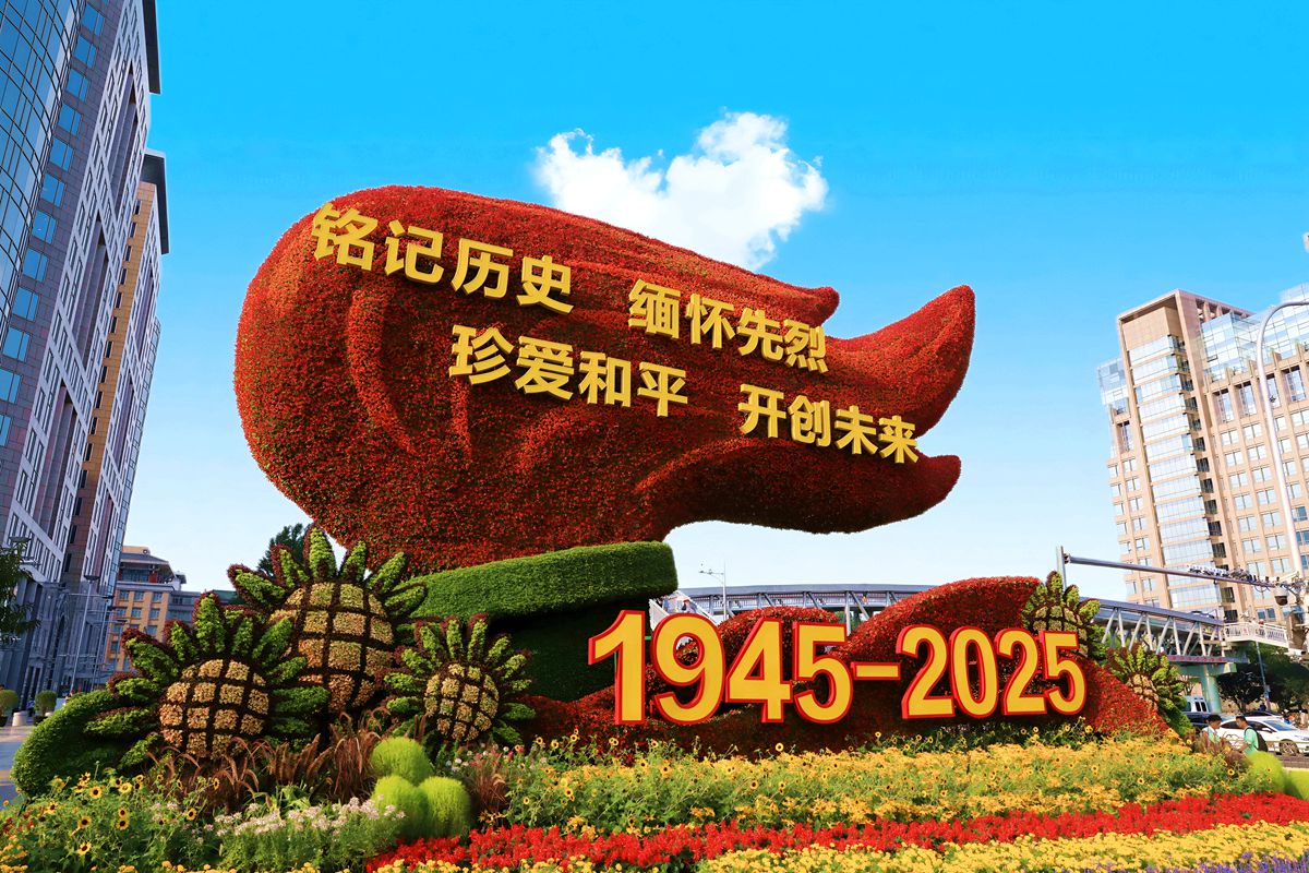 СD.jpg