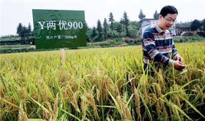  9 15 գsˮ(gu)c(din)(sh)(yn)ϯƌW(xu)ڄ(chung)1000ﮀa(chn)o(j)䛵ĵڳ(j)ƷNY Ƀ(yu)900Nֲء