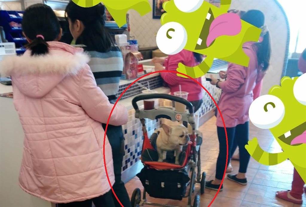 購物中心女顧客借賣場公用 嬰兒車“推寵物”。(圖片來源:臉譜網) 購物中心女顧客借賣場公用 嬰兒車“推寵物”。(圖片來源:臉譜網)
