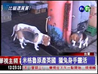 ��׽����! �����"��"5С�r