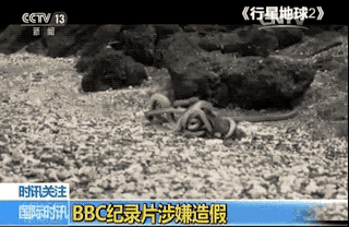 但據(jù)英國媒體報道,這一幕是合成的。